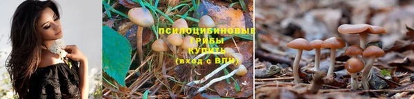 спиды Заволжск