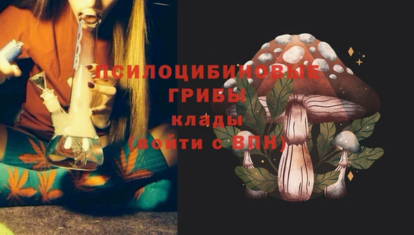 спиды Заволжск