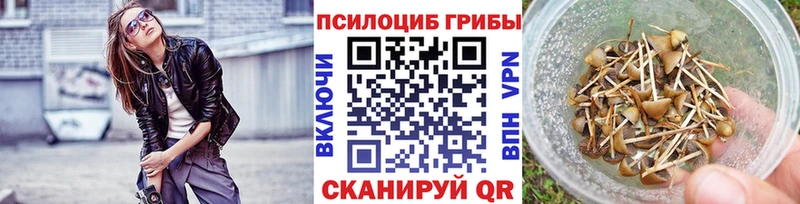 наркошоп OMG ссылка Псилоцибиновые грибы Psilocybine cubensis Звенигово